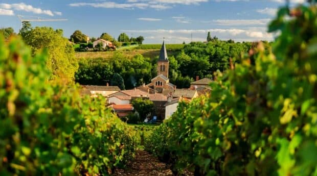 Conoce los 20 mejores destinos vitivinícolas del mundo