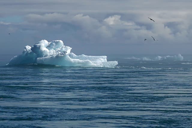 Urgently reduce global warming