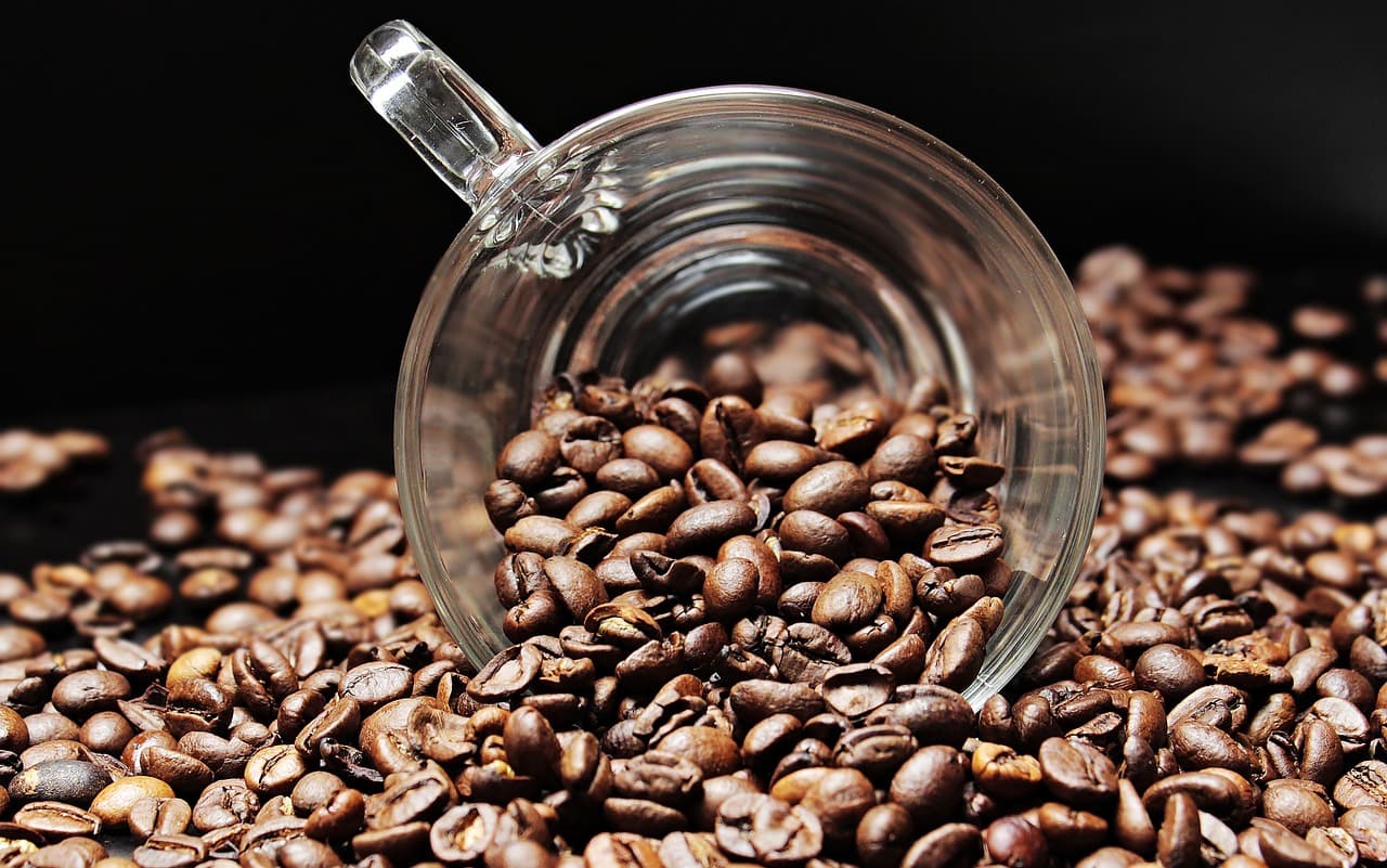 Jamaica busca un nuevo impulsor de su industria turística: el café
