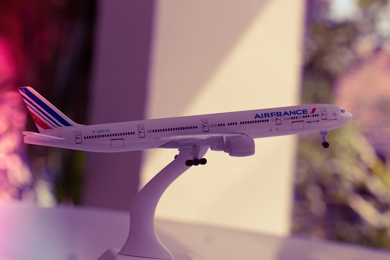 Air France añade nuevos vuelos a la Guayana Francesa