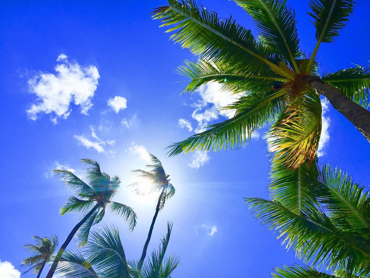 Niente più fondi per l'autorità del turismo delle Hawaii
