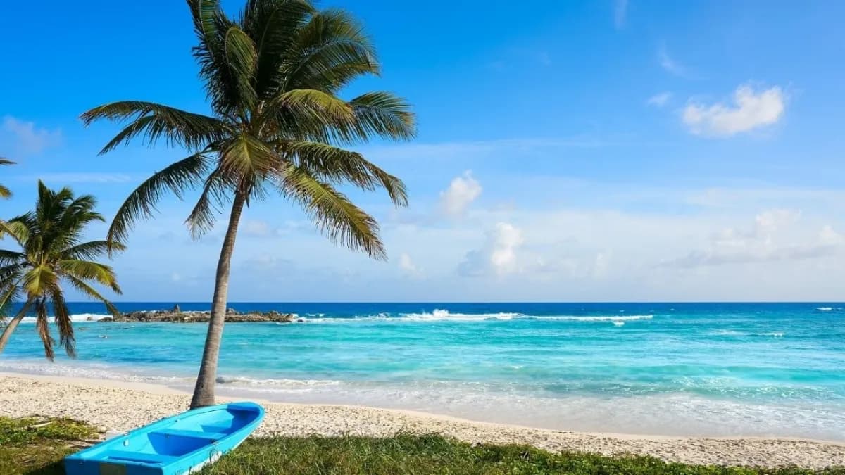 El Consejo Hotelero del Caribe Mexicano acuerda la agenda 2026