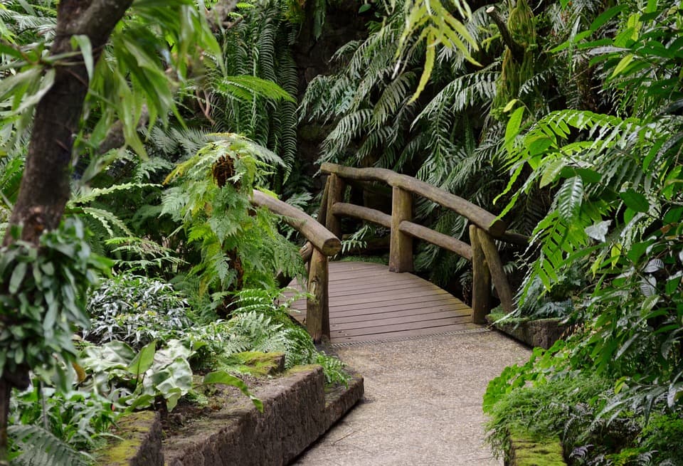 Biodiversity and tourism appear among top plans for Cuba