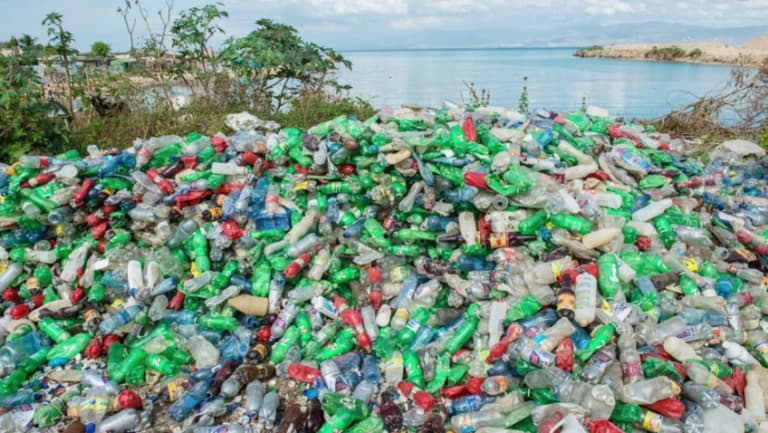 Jamaica to Ban Plastic Lunch Boxes by Year End