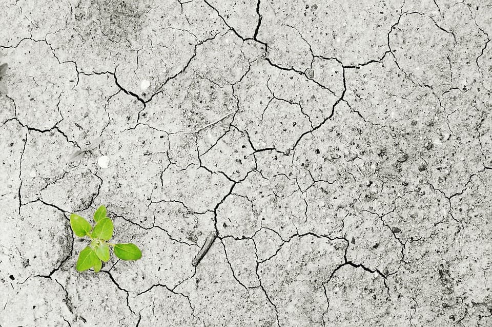 Climate Change Stirs Integrated Housing Revolution In Dominica