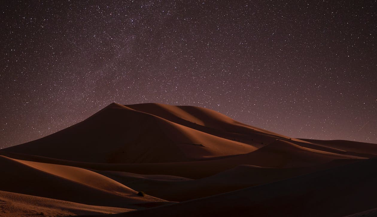 TTC Special: International tourism looks at the stars