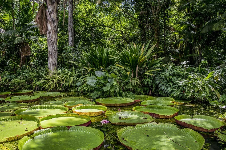 El turismo se reactiva en el Amazonas peruano