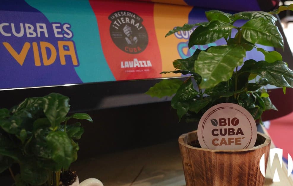 El valor del Café Orgánico Cubano