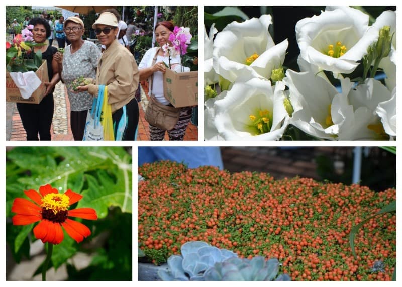 National Plant and Flower Festival: a visual and educational feast in Santo Domingo