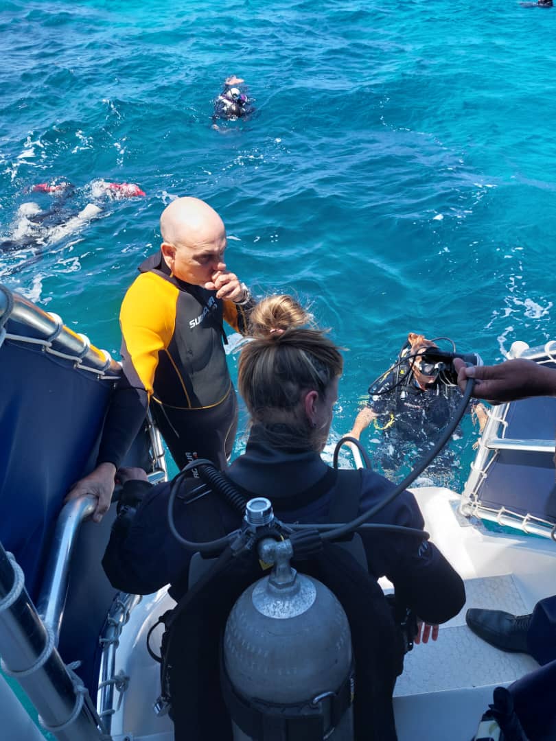 Grupo Cubanacan invita a vivir momentos únicos en el mar