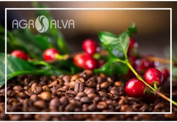 Agrosalva novedades productivas y comerciales
