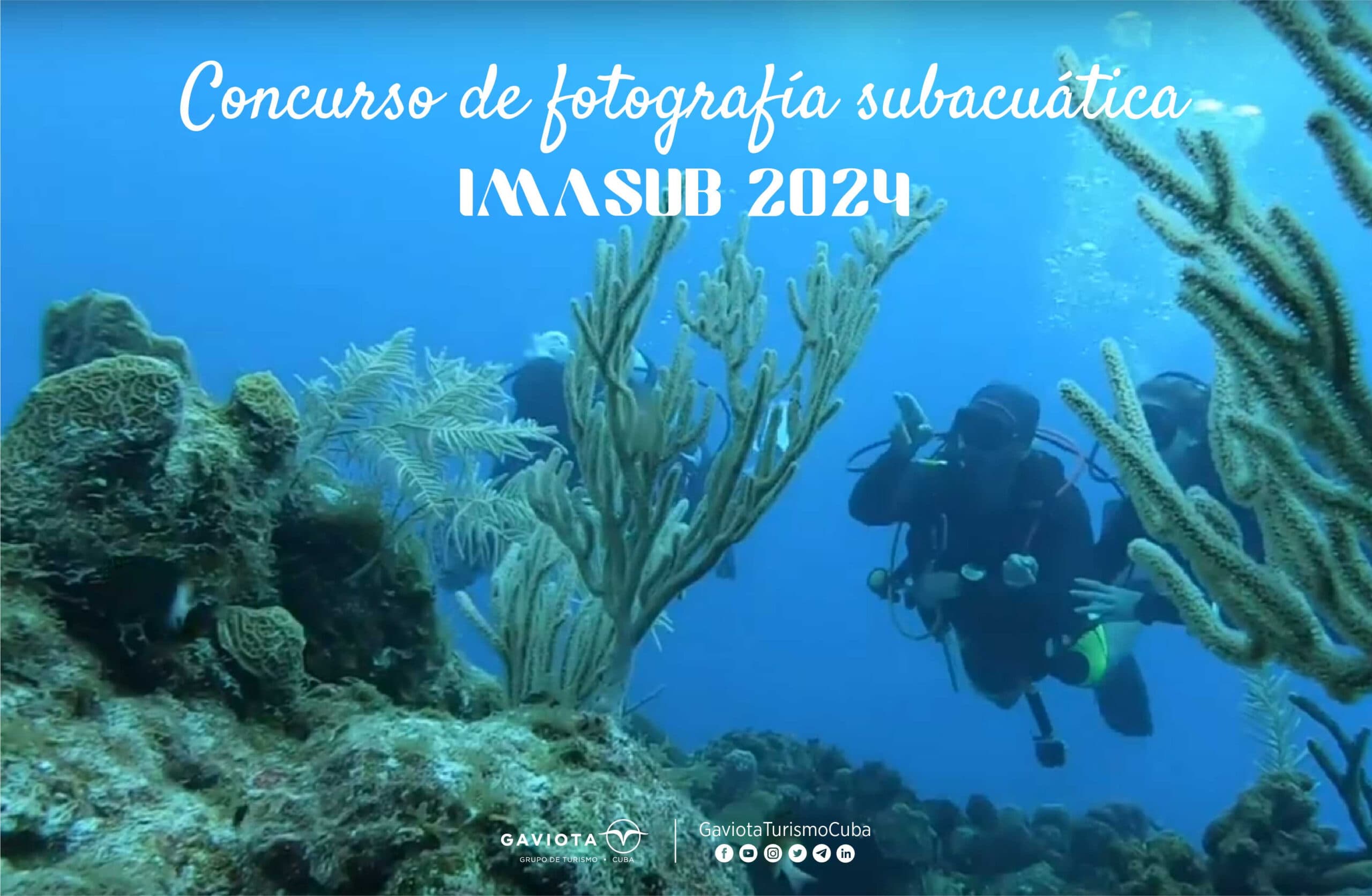 Convocan al Concurso internacional de fotografía subacuática IMASUB 2024