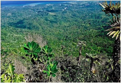 Especial TTC: Parque Nacional Alejandro de Humboldt, “ruta de la naturaleza y el hombre”