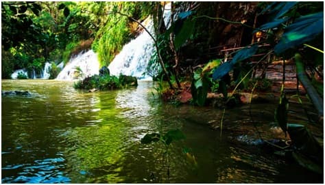 Especial TTC: Senderos de naturaleza en el Parque Natural El Cubano