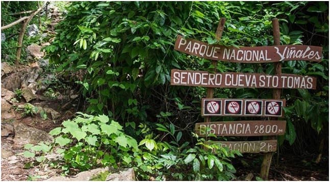 Especial TTC: Una incursión a Viñales, la Gran Caverna de Santo Tomás