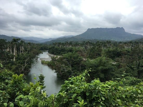 Cuba: Enormous potential to join the carbon market