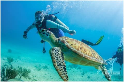 Especial TTC: Turismo de naturaleza y aventura en el Parque Submarino La Caleta