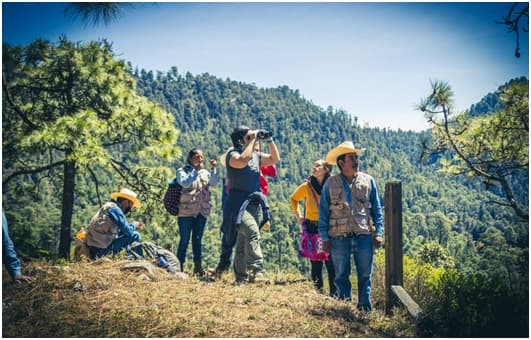 Especial TTC: Turismo regenerativo, una experiencia turística en armonía con la naturaleza