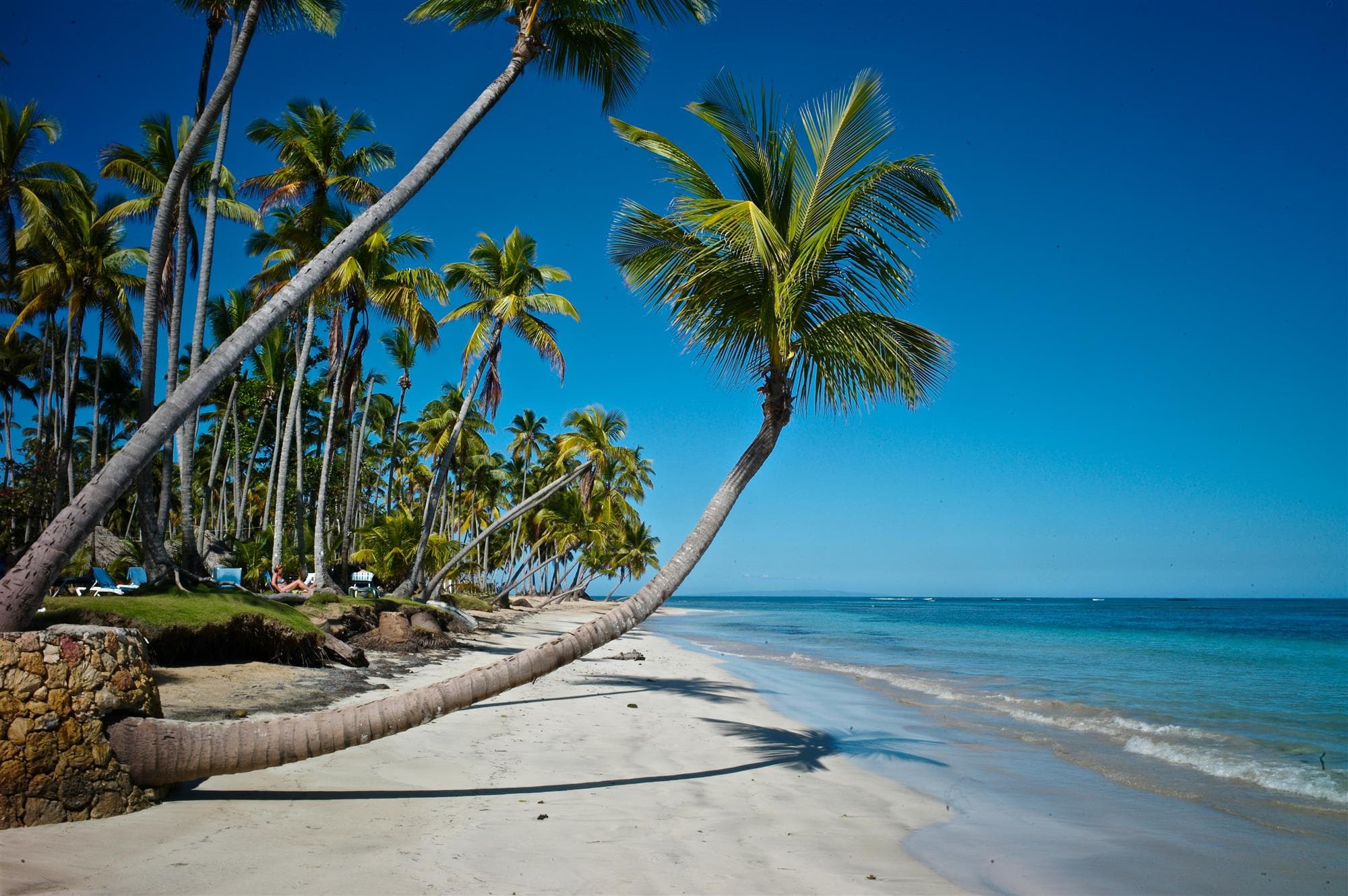Sustainable tourism in the Caribbean: The next eco-friendly escape?