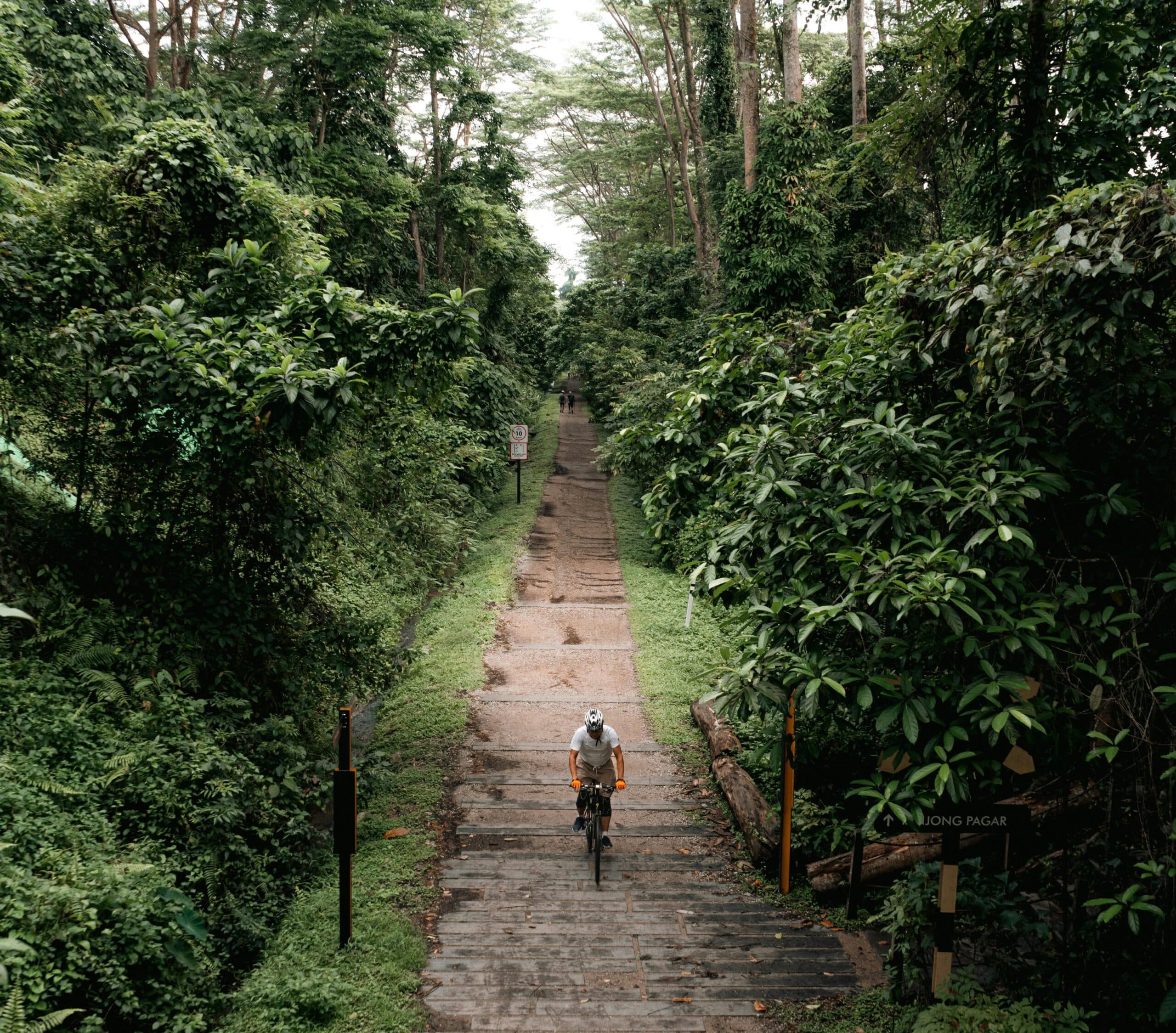 Día Mundial del Turismo por una transformación sostenible