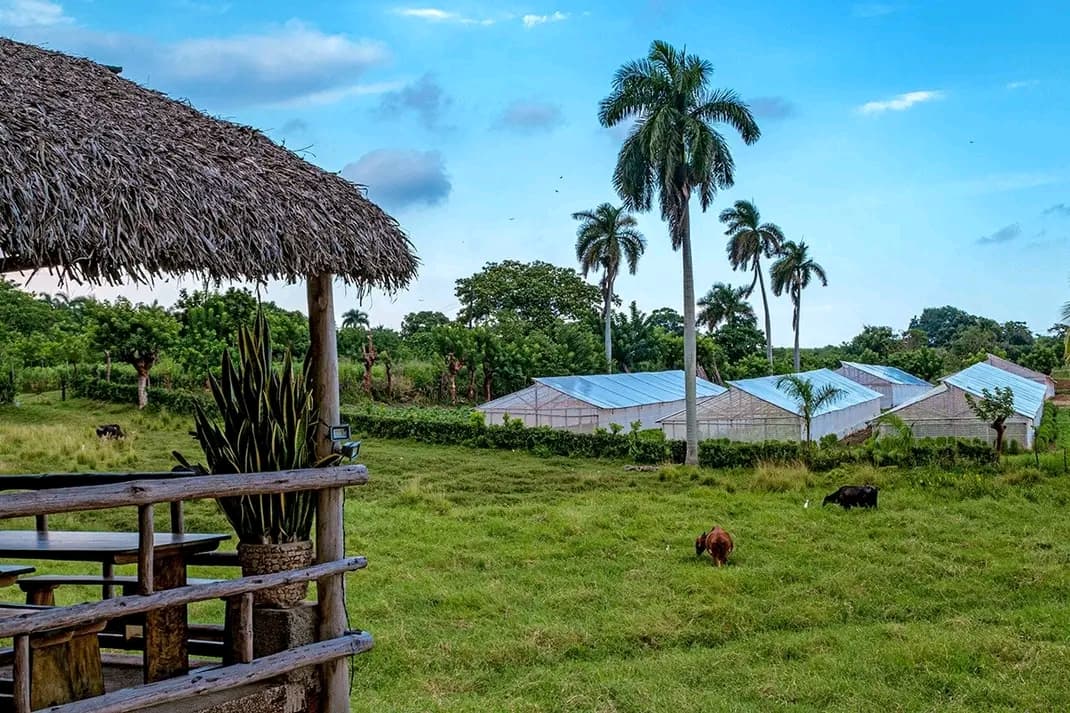Finca Vista Hermosa: el paraíso agroecológico a 20 minutos de La Habana