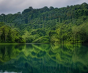 The forest lake at Las Terrazas, Cuba