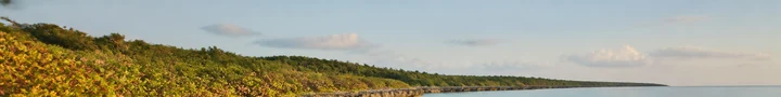 Rocky coast and clear water at Guanahacabibes, Cuba