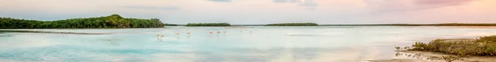 Flamingos over a lagoon at Cayo Coco, Cuba