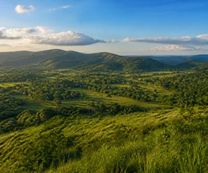 Rolling green hills in Holguin, Cuba