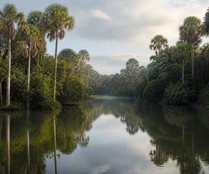 Tropical waterways at Guama, Cuba