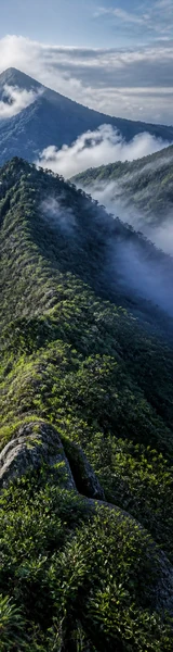 The forested Pico Turquino ridge in Cuba