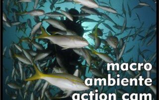 Concurso Fotosub 2020 será online