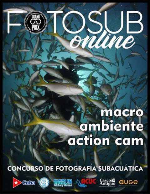 Concurso Fotosub 2020 será online