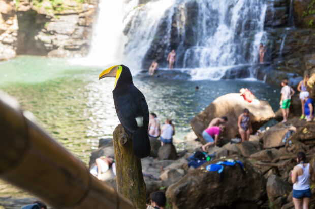 En feria turística de Londres, Costa Rica se promociona como destino idóneo para descansar en época de pandemia