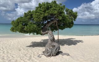 Caribbean beaches (pic pixabay)