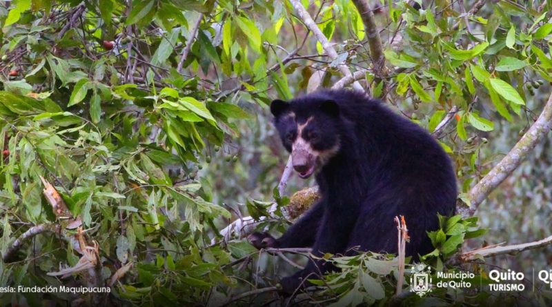 Biodiversidad-Quito (foto Quito Informa)