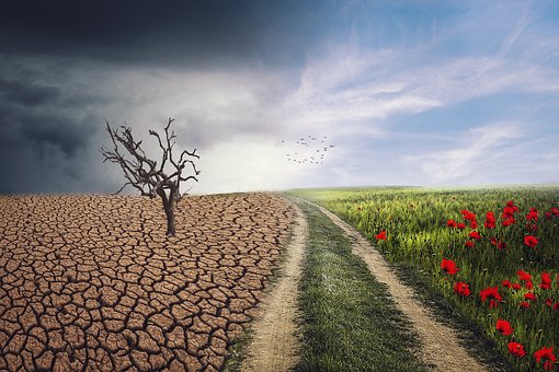 climate change (pic pixabay)